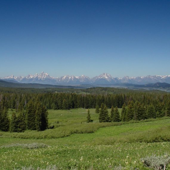 The Grand Tetons in the distance