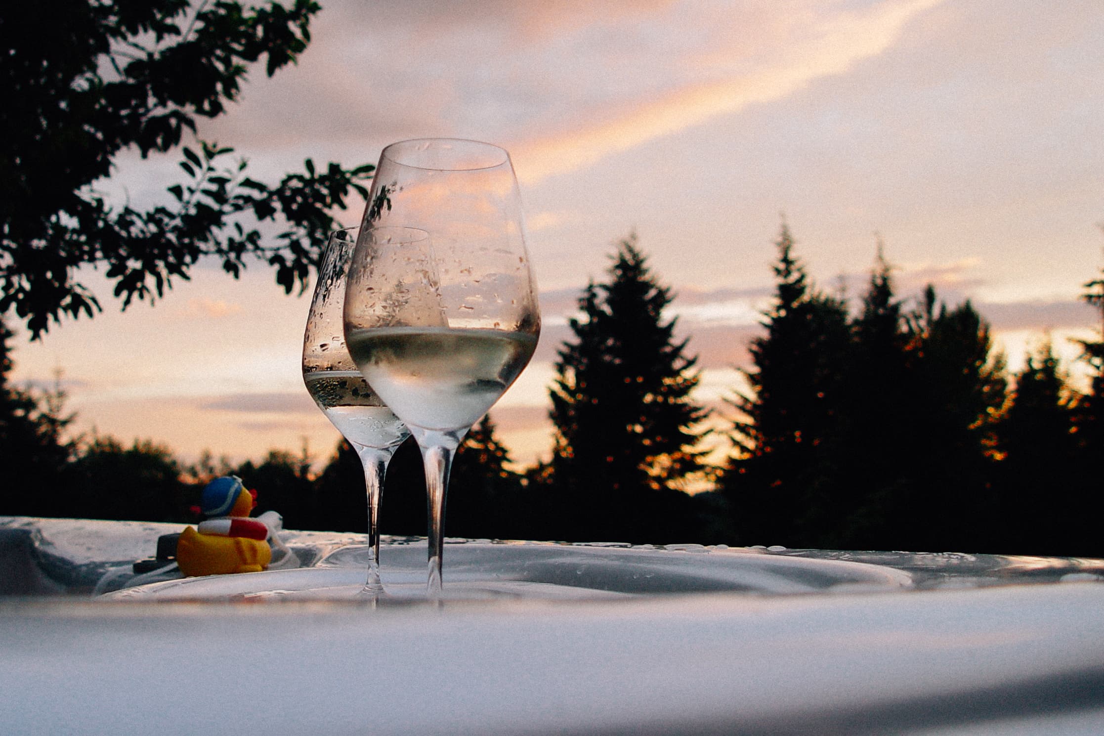 Wine, hot tub, sunset, rubber duck