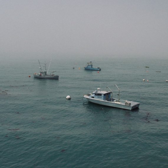 Boats in Arena Cove