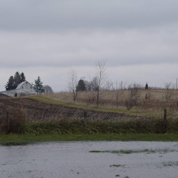 gray day with barn