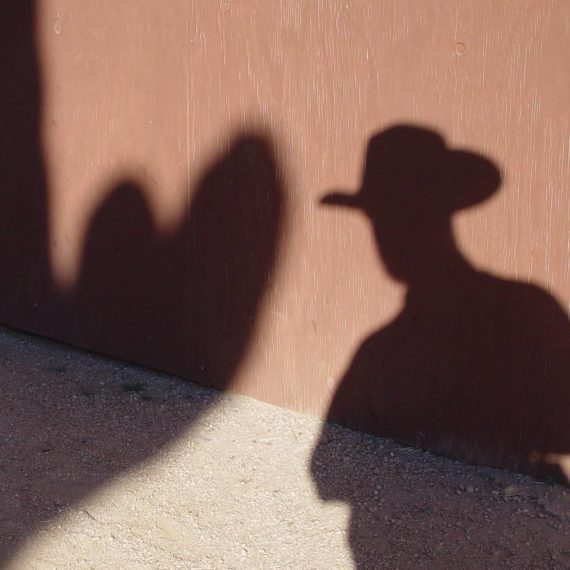 Shadow of cactus and man in cowboy hat