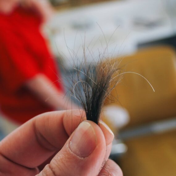 Person holding lock of hair with a few grays in it