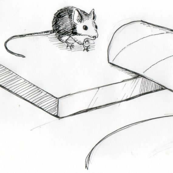 Drawing of a mousetrap using a toilet paper roll making a cantilevered tunnel to a trashcan