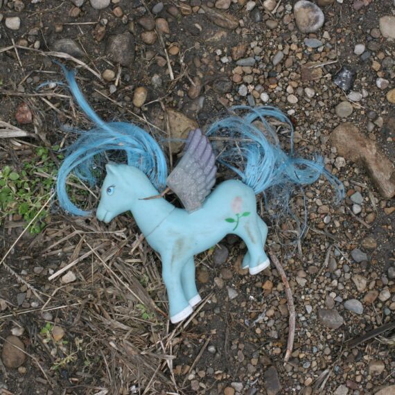 My little pony, discarded