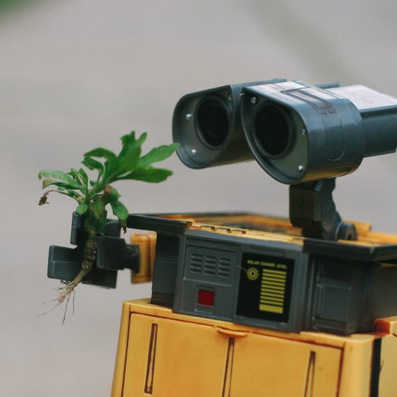 WALL-E toy holding a weed