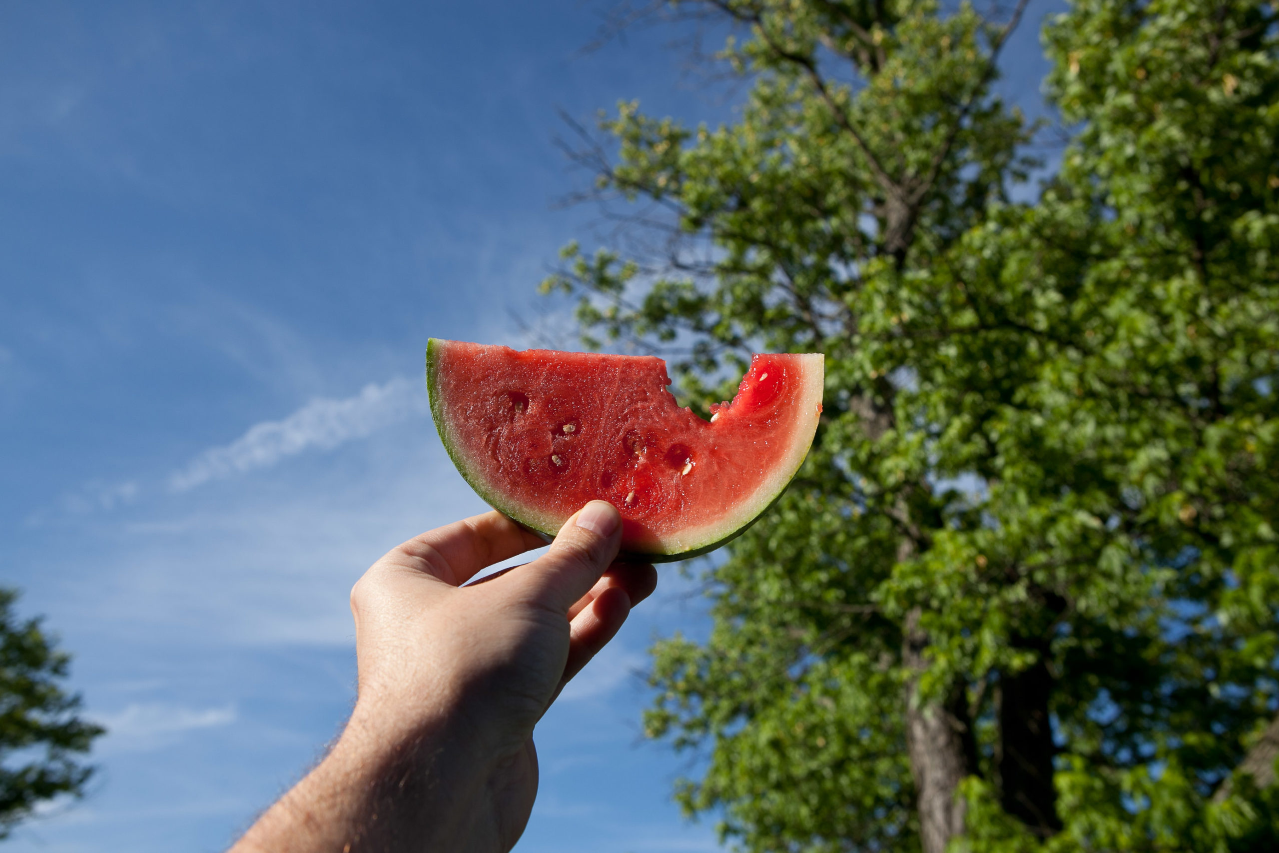 A hand holding watermelon up to the blue sky and trees