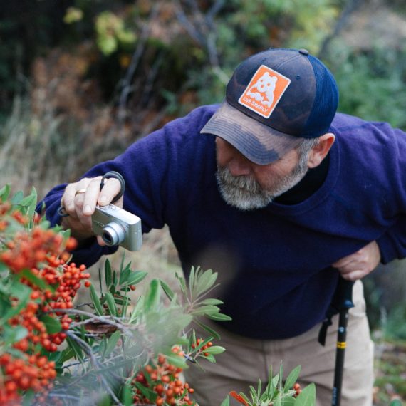 Man takes photo of Madrone tree