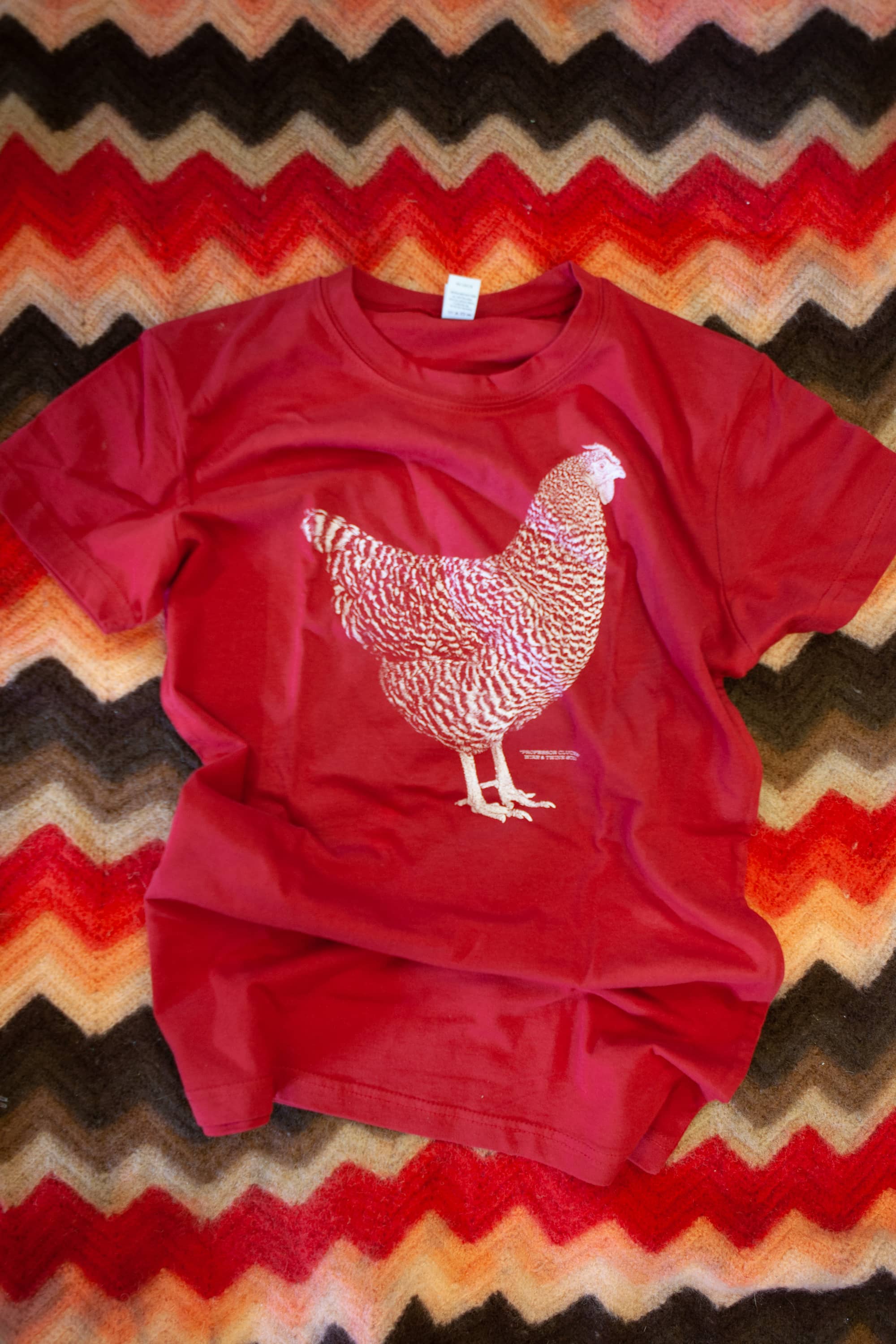 chicken t-shirt on afghan