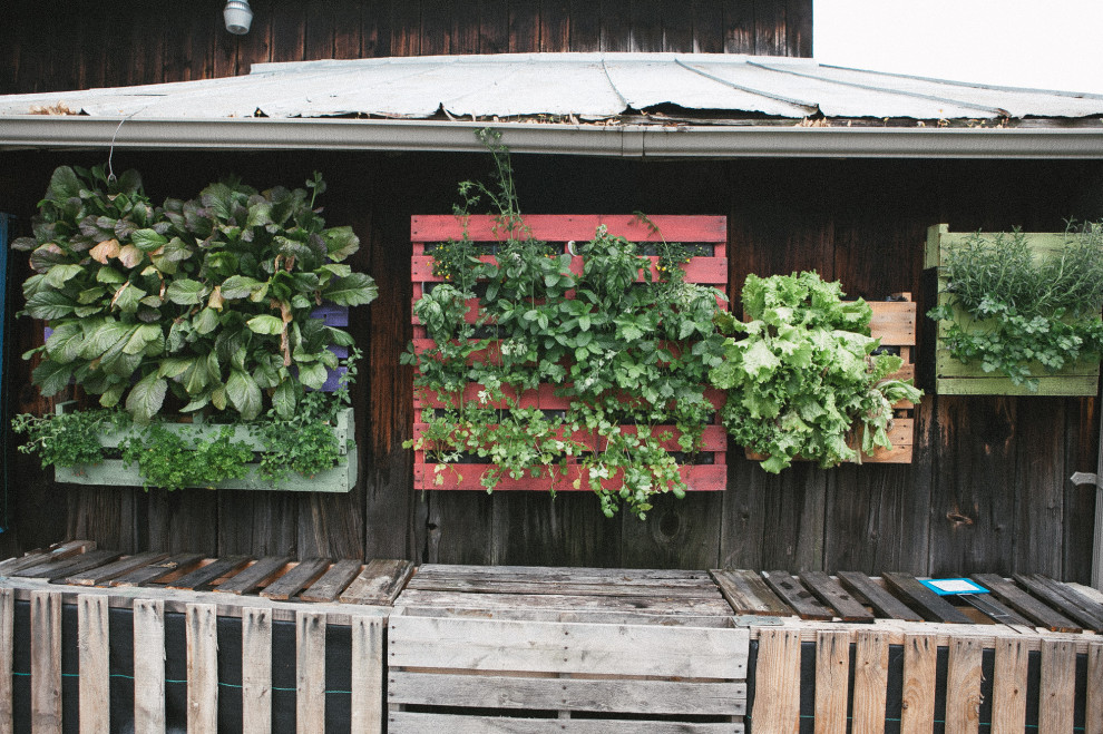 Greenfield Plant Farm