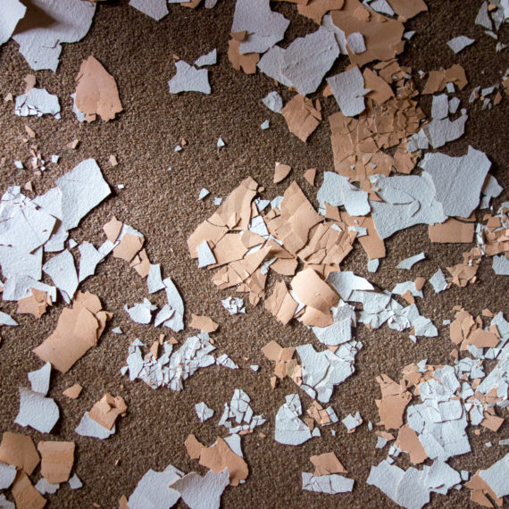 white and tan paint chips on carpet