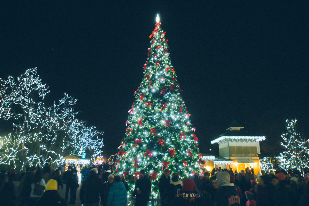 Festival of Lights tree