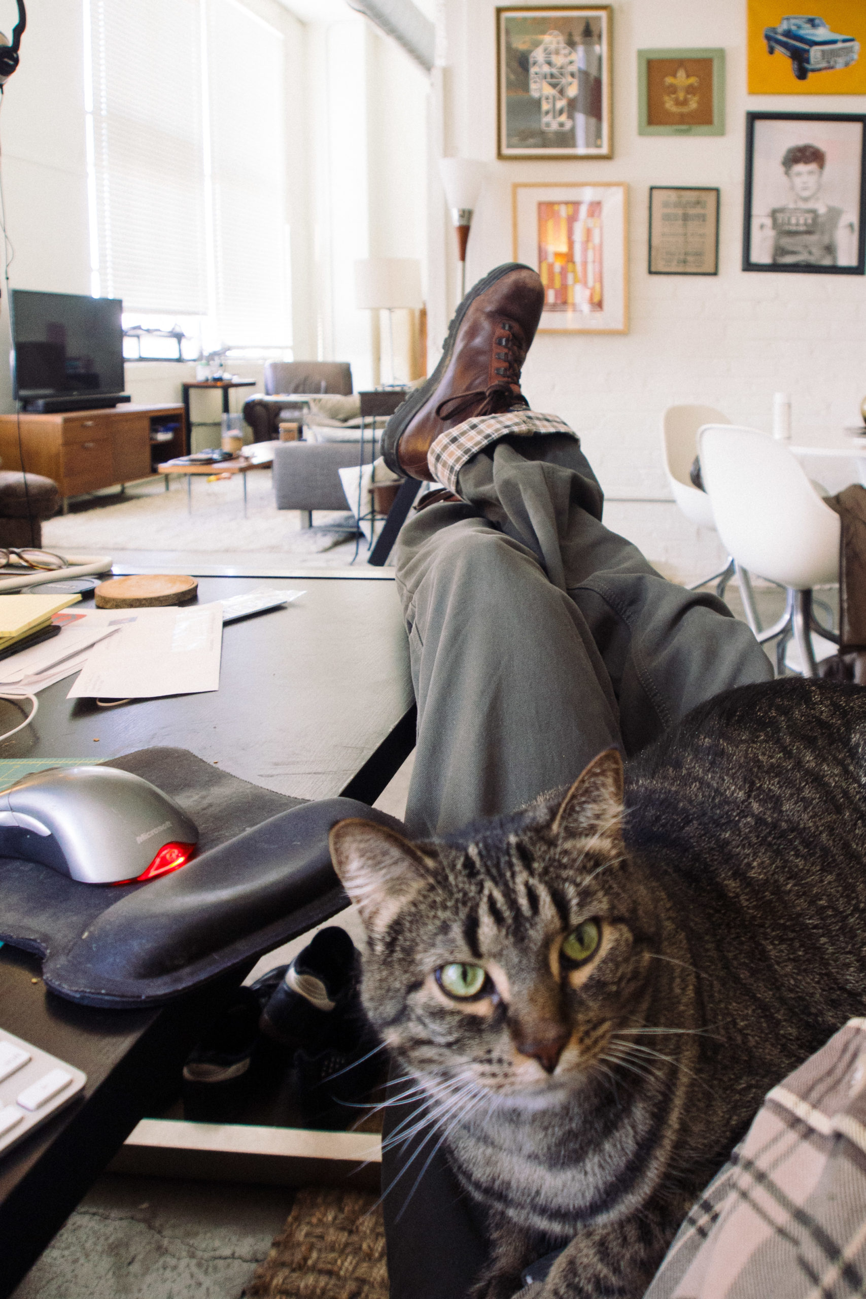 Man reclined with cat in lap