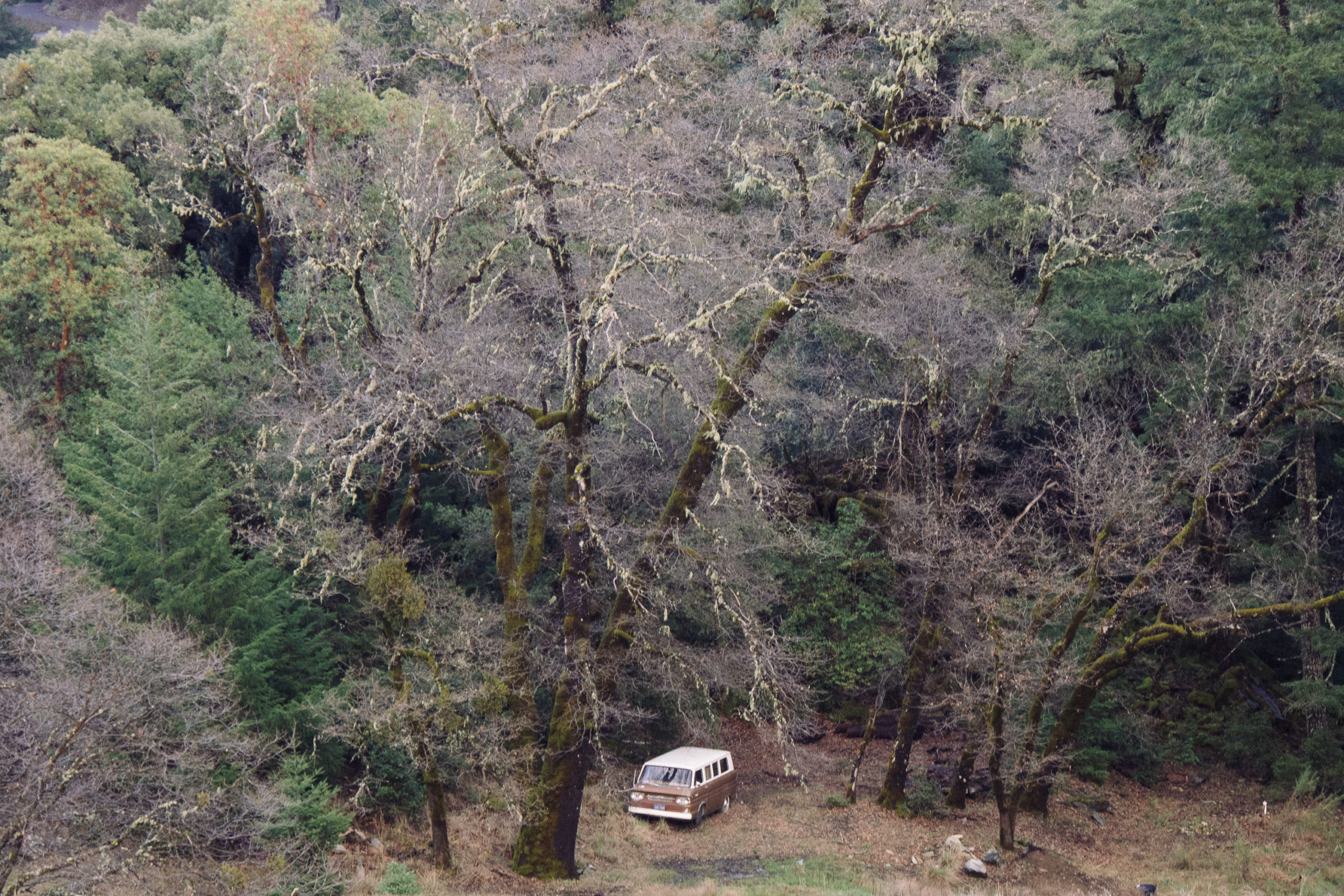 Abandoned van in a wooded area