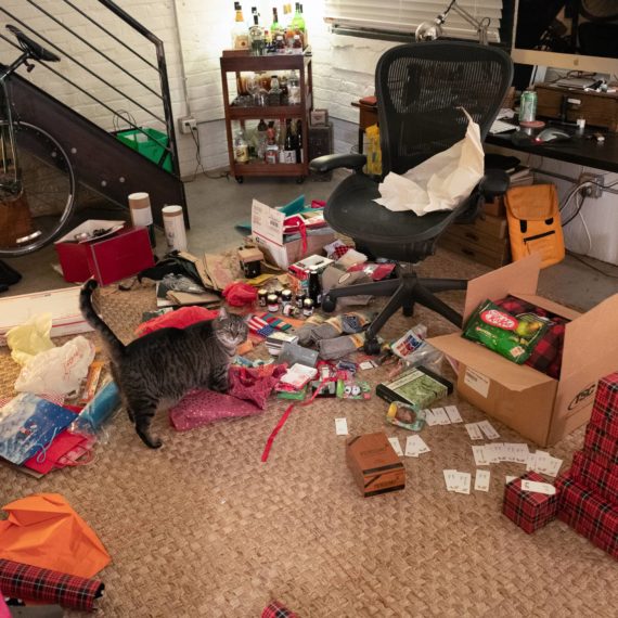 Cat inspects presents being wrapped for Christmas