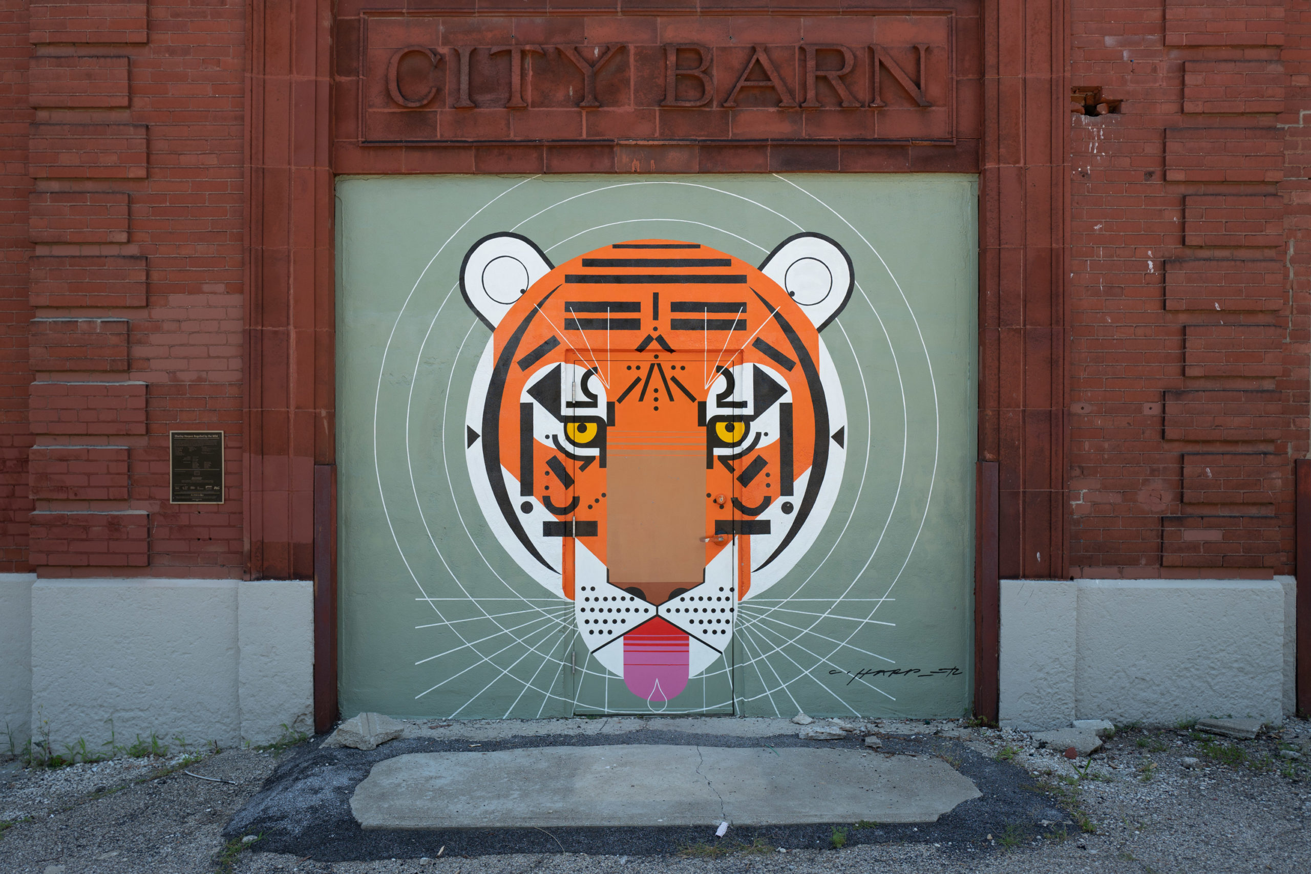 A tiger painted on an exterior door