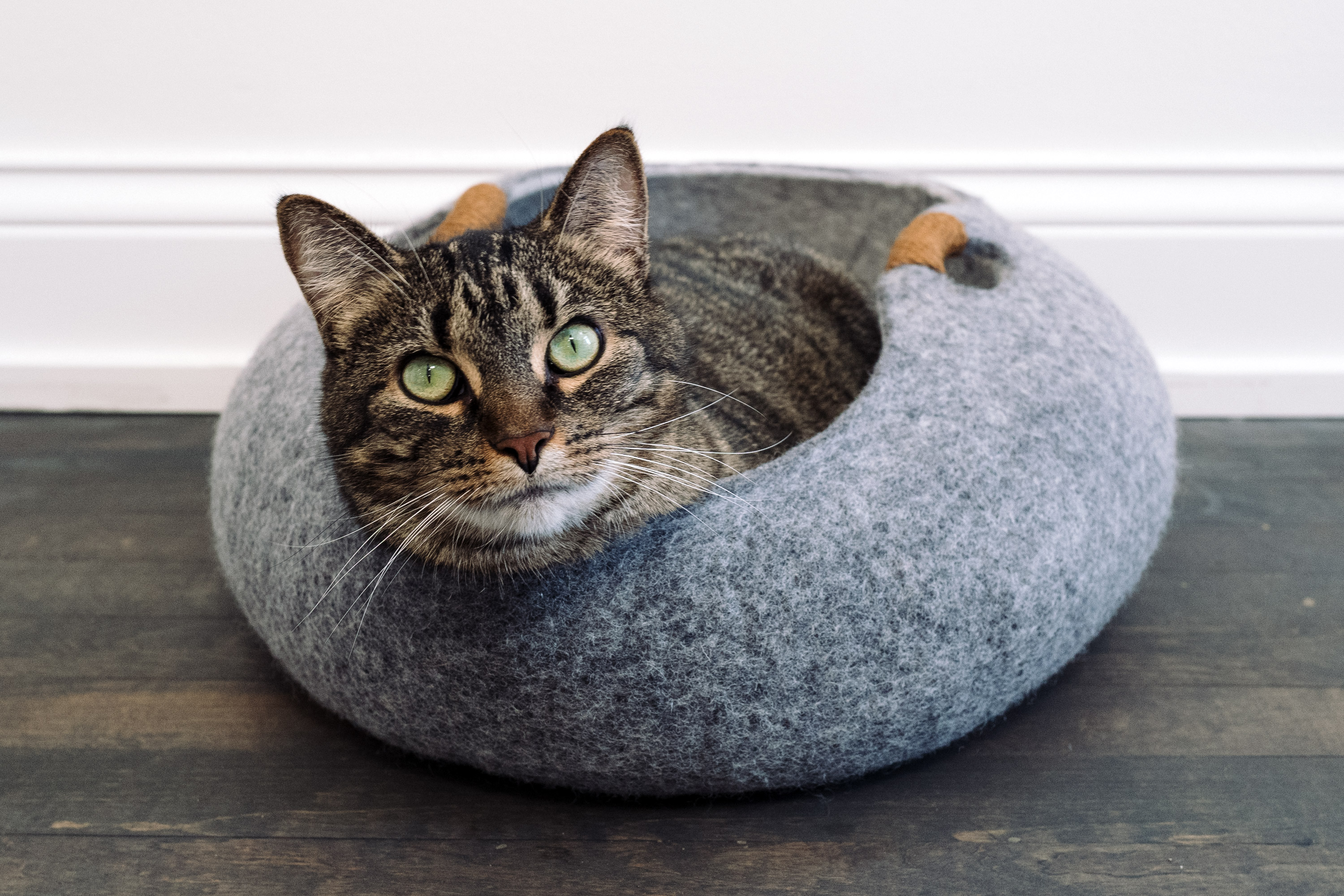 felt cat bed