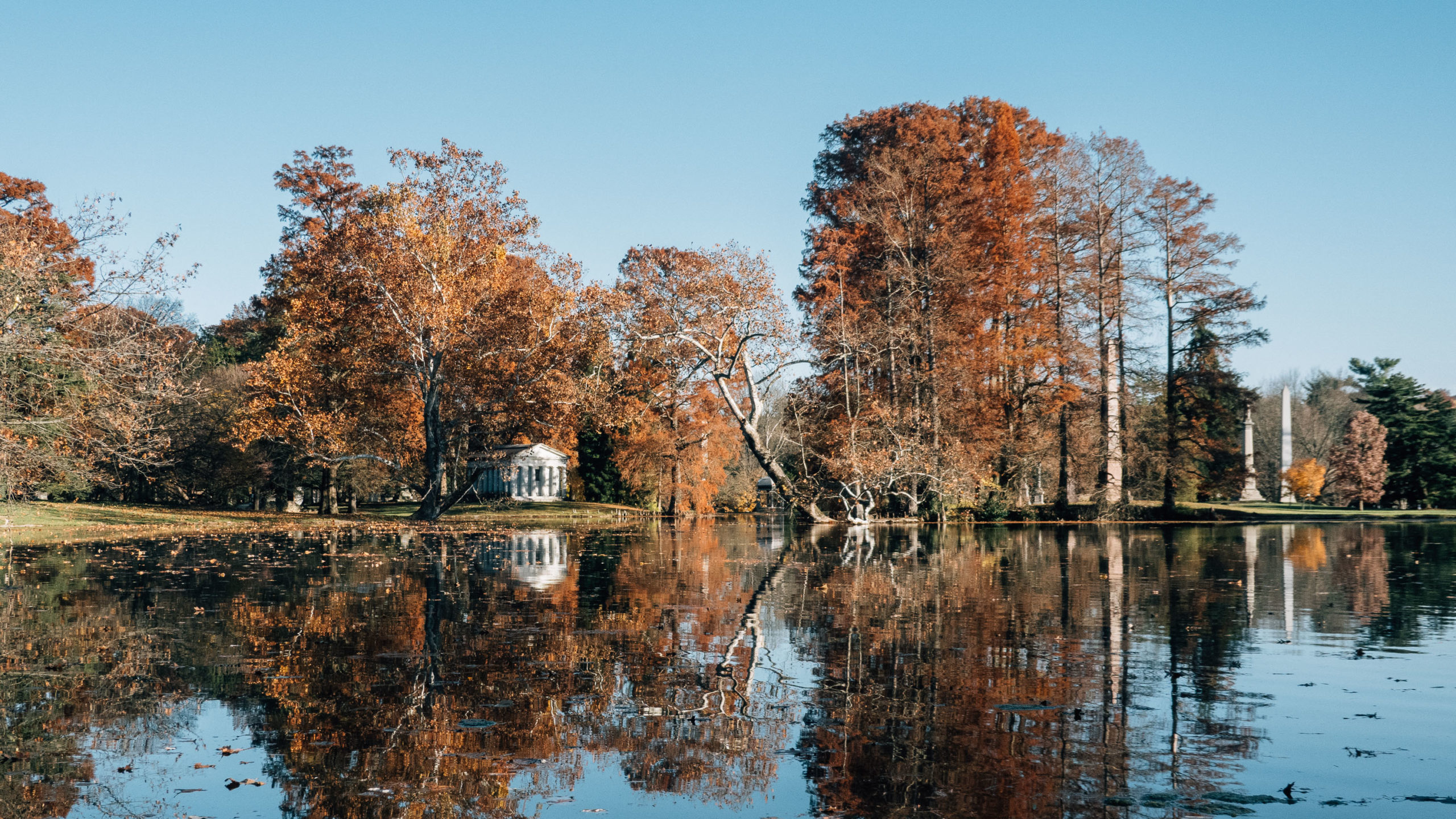 Spring Grove in Autumn