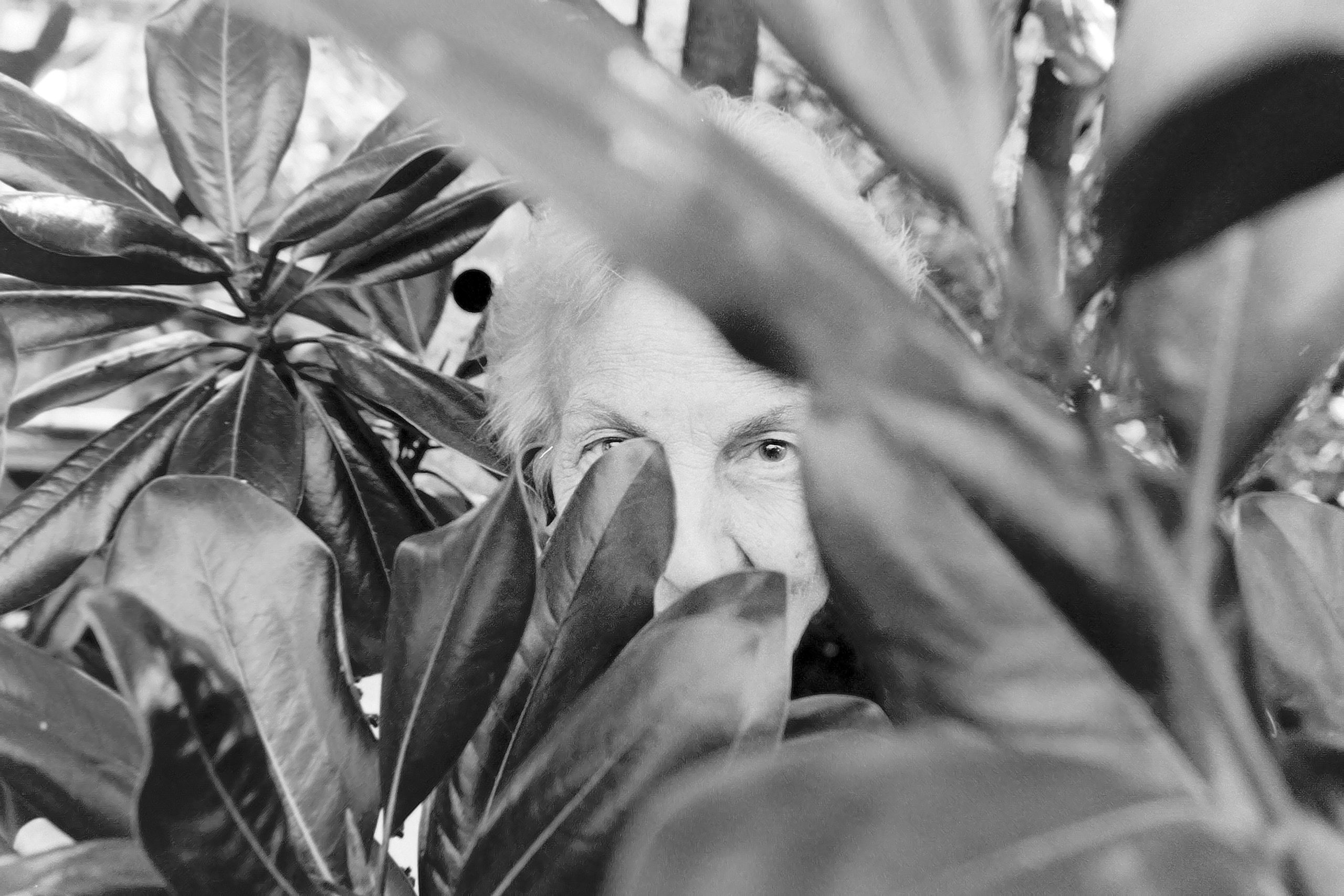 Woman hiding behind leaves of a magnolia tree