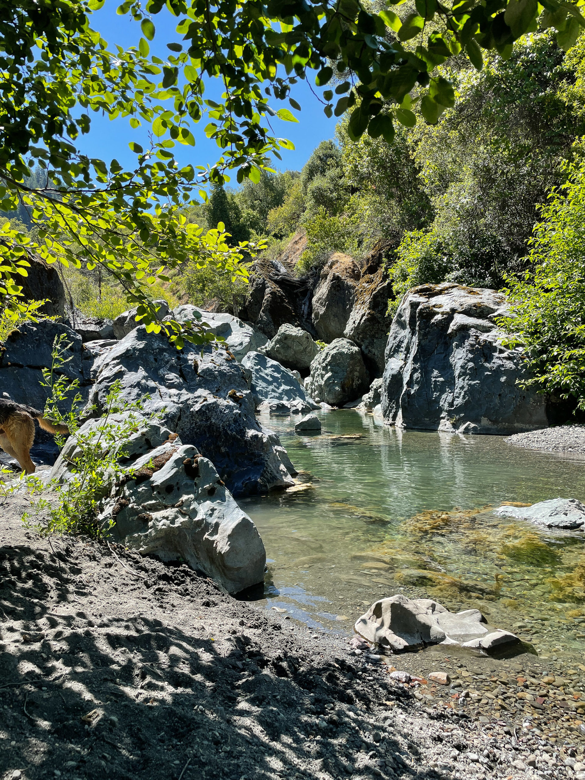 Blue Rock Creek