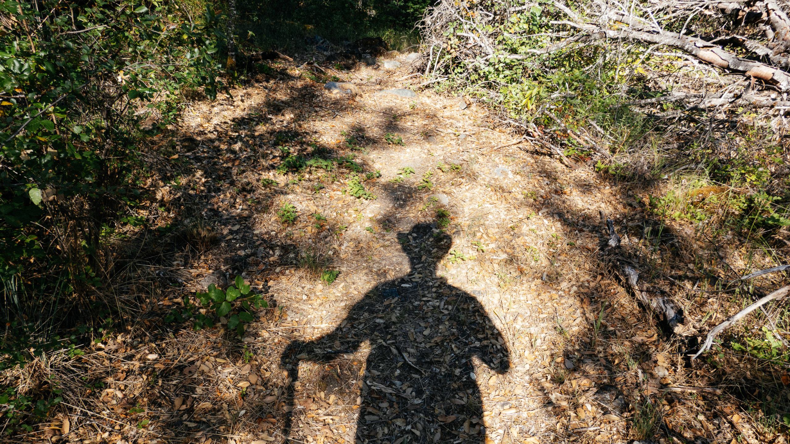 Shadow of a man in a wide brimmed hat with hiking pole on a dirt path