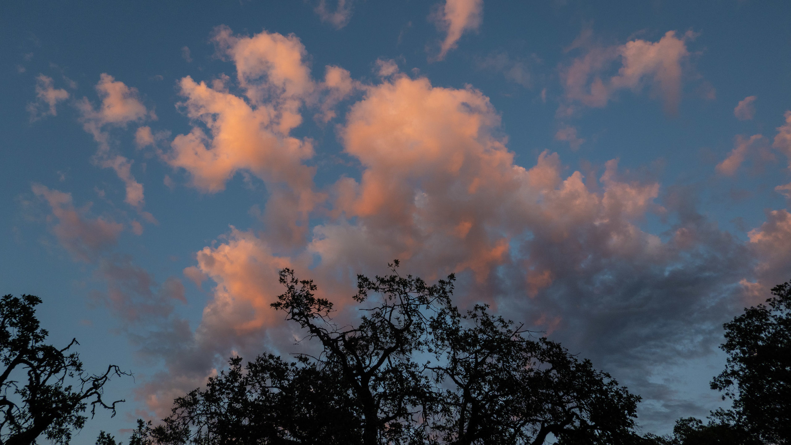 Sunset reflected brilliantly on clouds