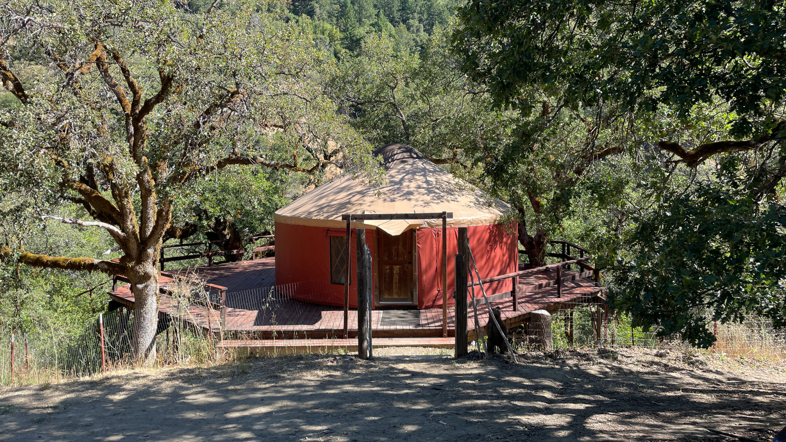 A yurt on a deck in a wooded landscape