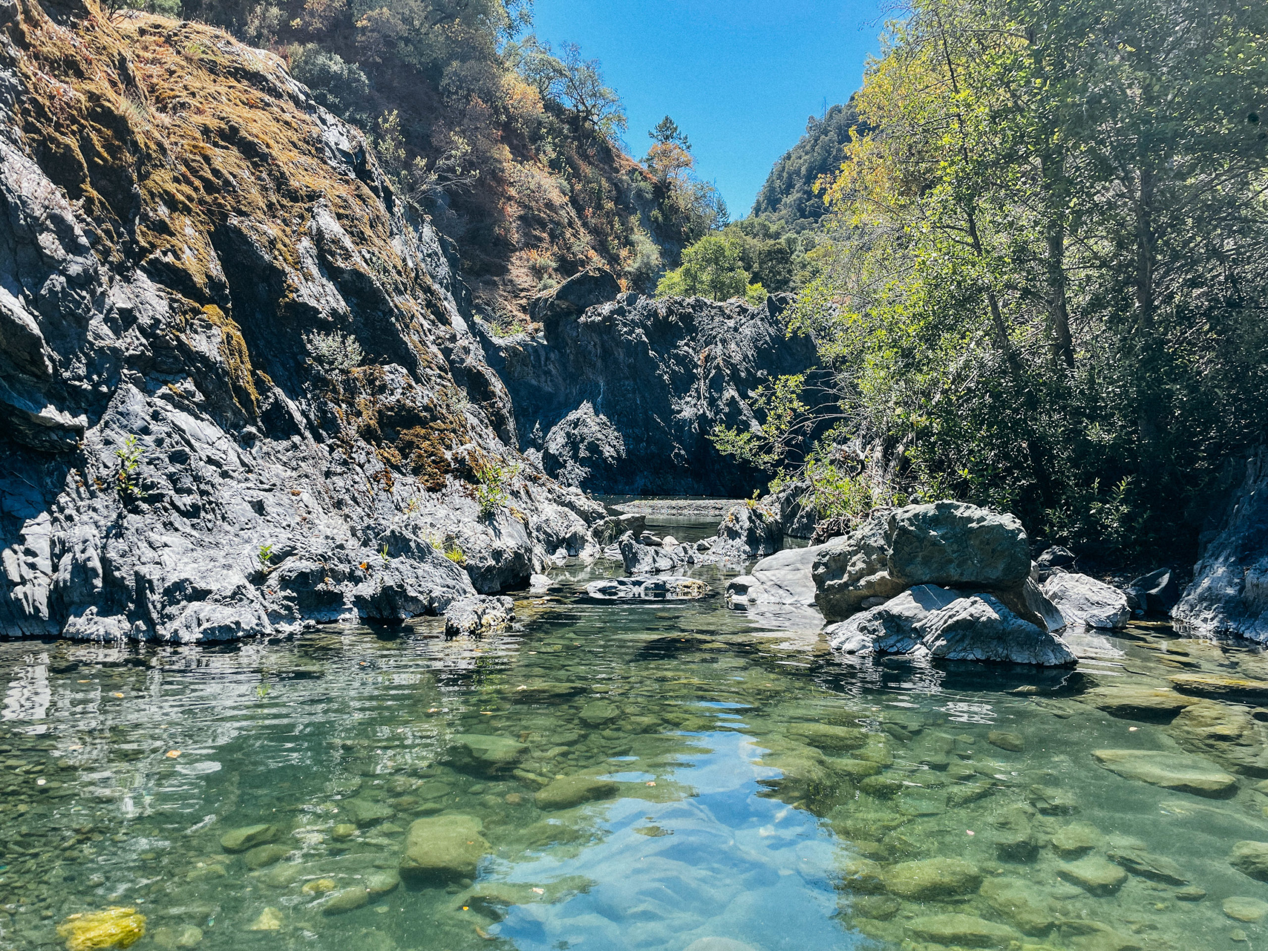 Clear water in a creek