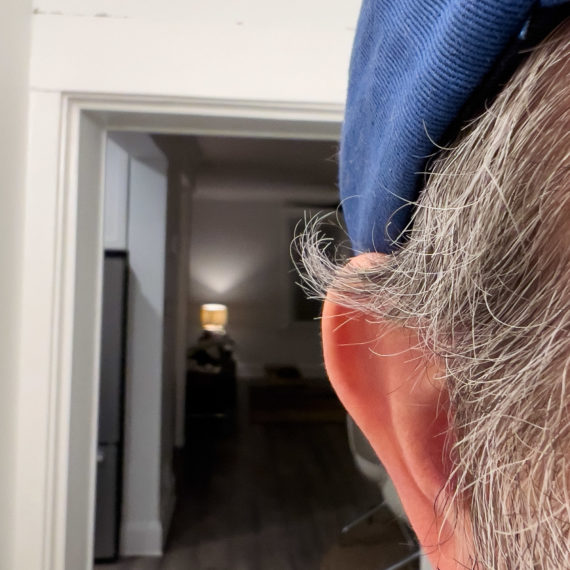 A closeup shot of some silver hairs curling up over the ear of a man