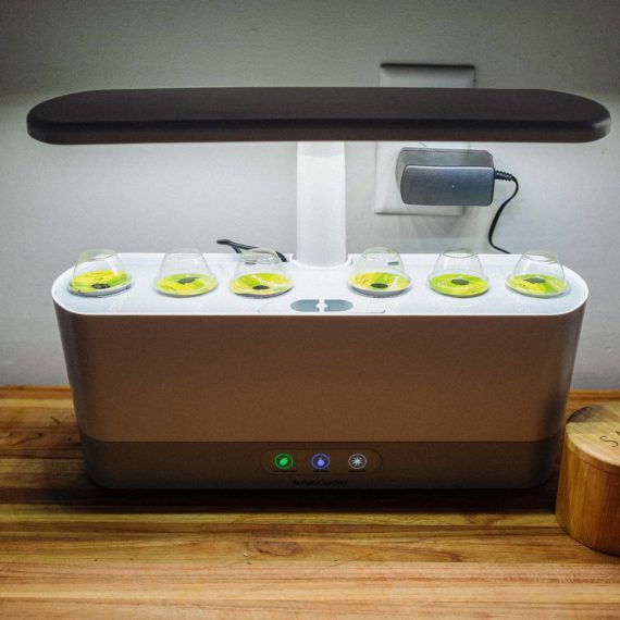 A self-contained countertop hydroponic garden with 6 slots to grow plants