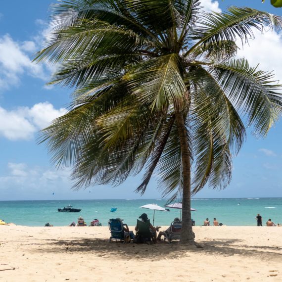 Folks sit in the shade under a palm tree on Ocean Park Beach in San Juan, Puerto Rico