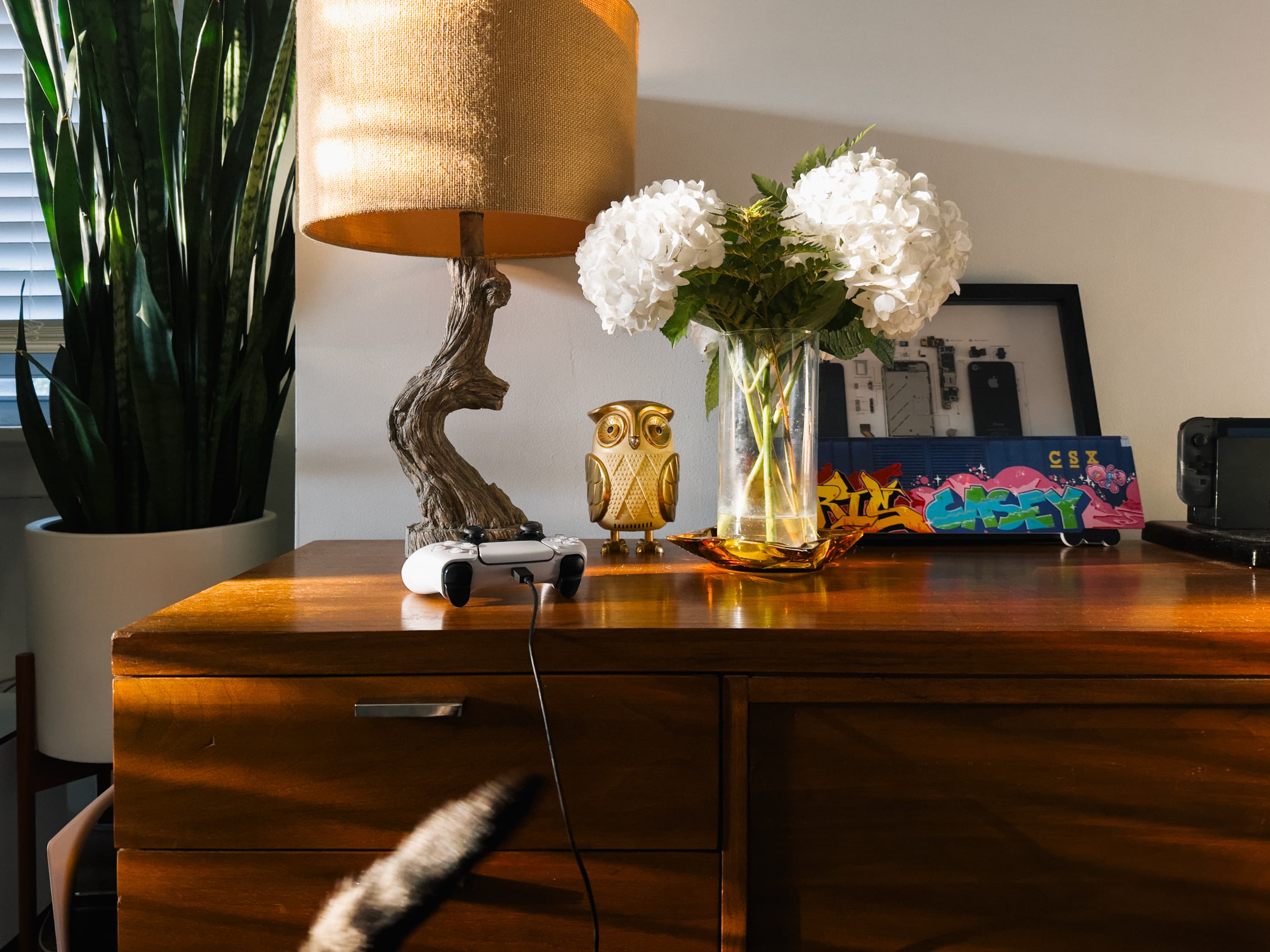 Hydrangea in ashtray next to lamp, owl shaped radio and a plant