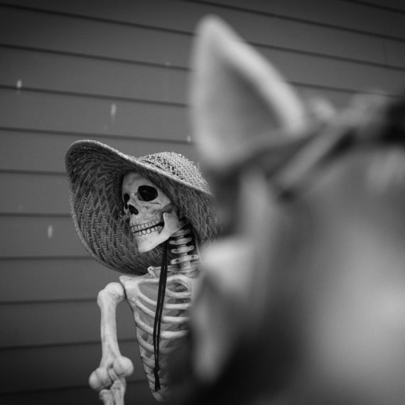 Skeleton in a wide brimmed hat rides a horse