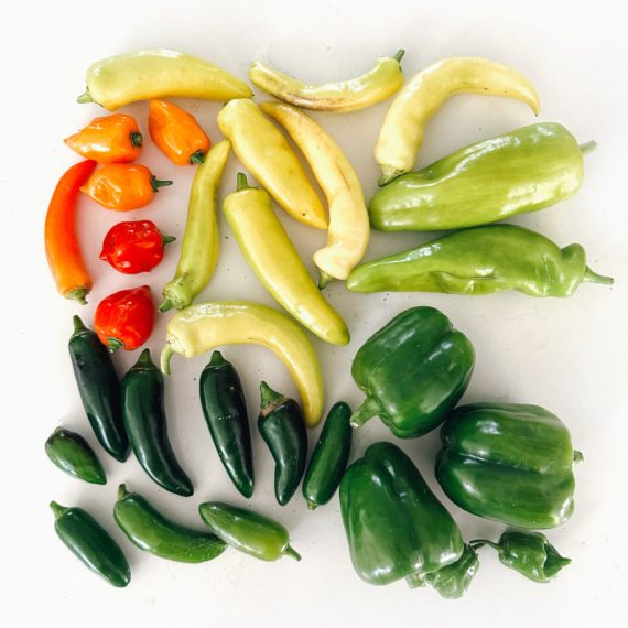 Various peppers arranged neatly