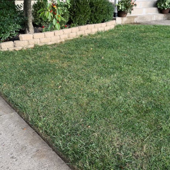 Line of grass along a concrete driveway