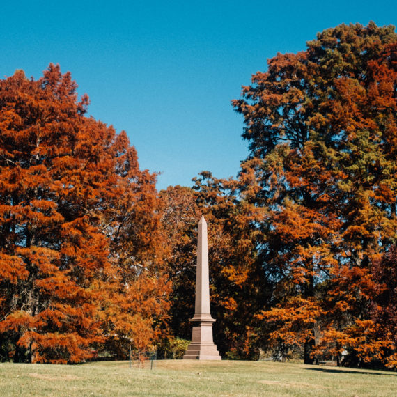 Obelisk monument in a cemetery in autumn