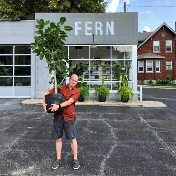 A man holds a ficus tree in a pot outside of a plant store called FERN