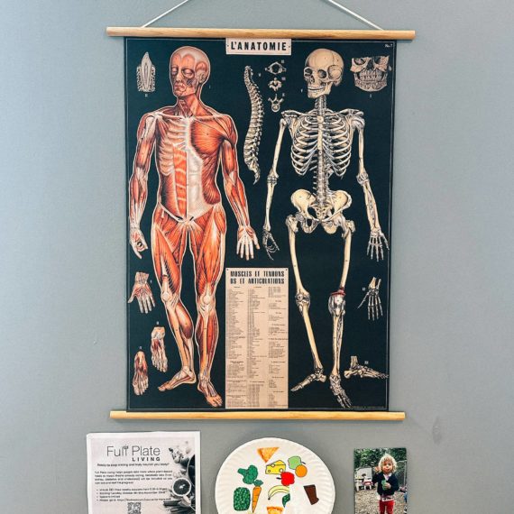 Anatomy poster in a doctor’s office