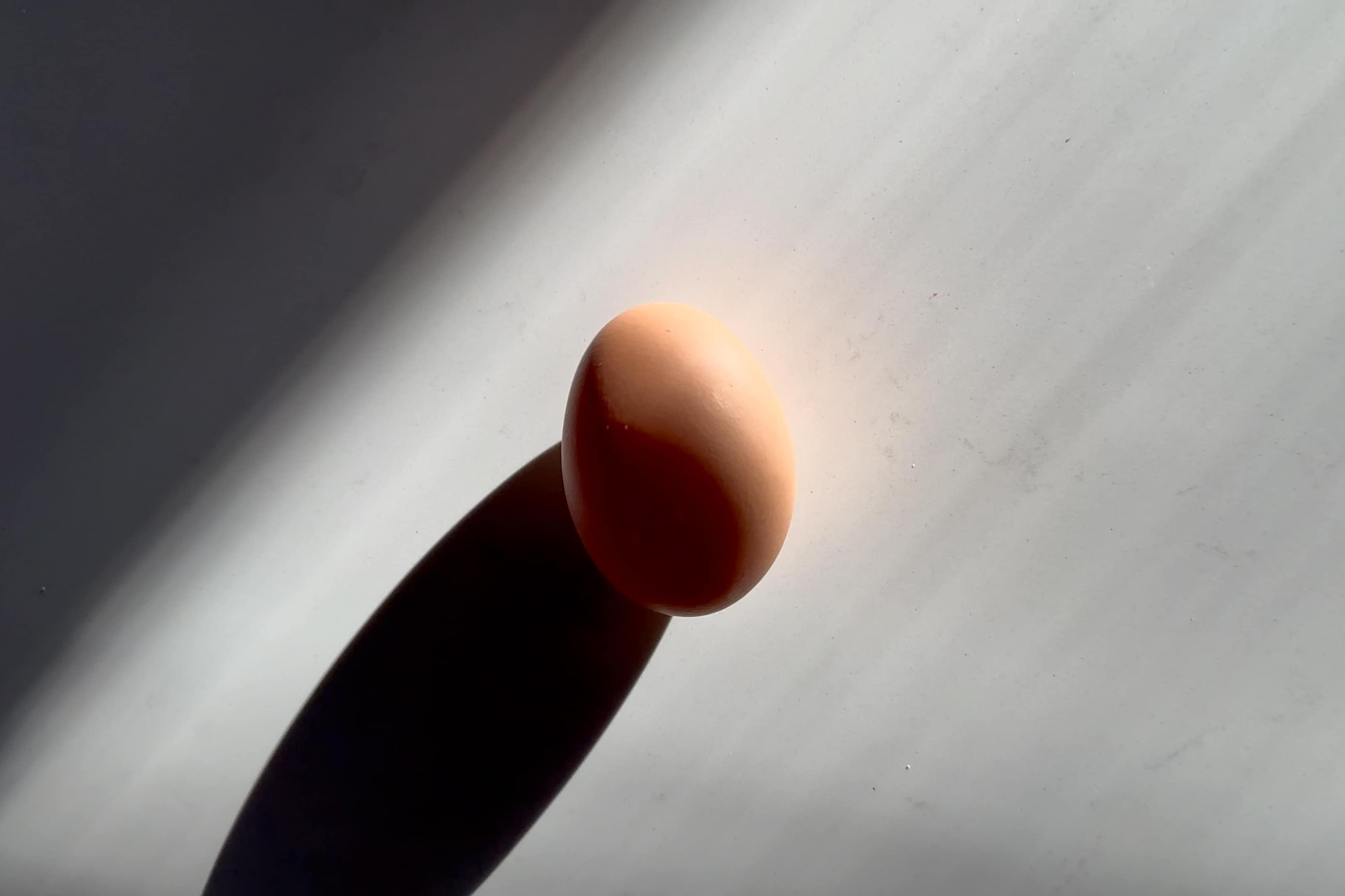 An egg on a white countertop casting a long shadow.