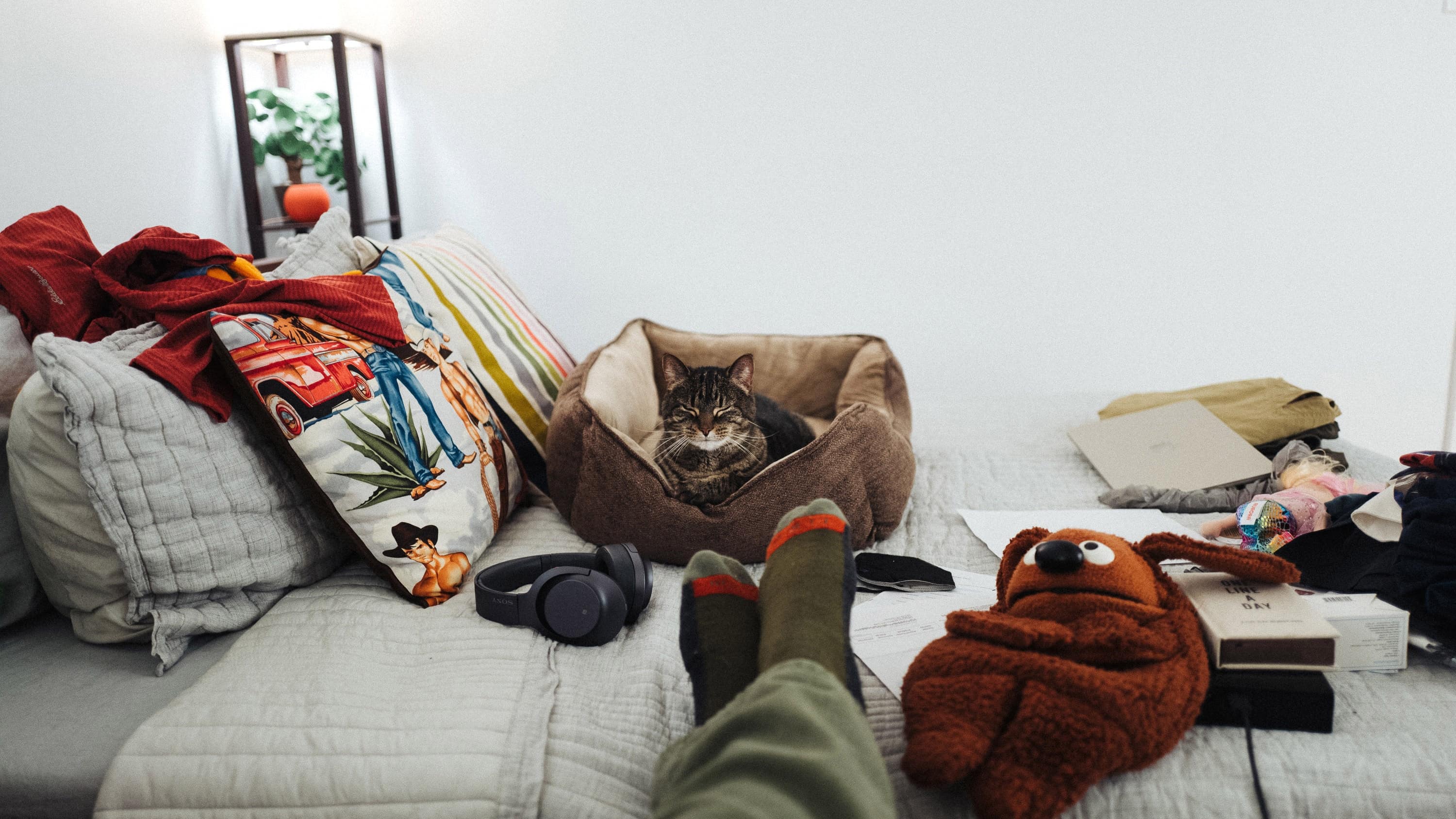 A cat asleep in a bed