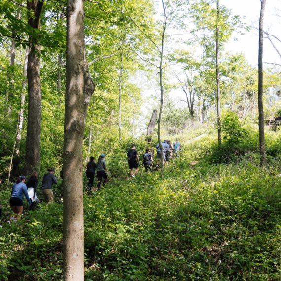 A large group hikes through the woods