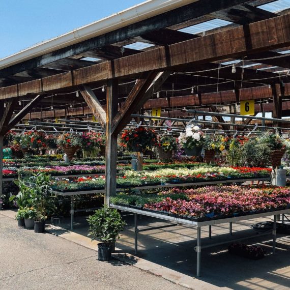 Garden Center with hanging baskets and annuals