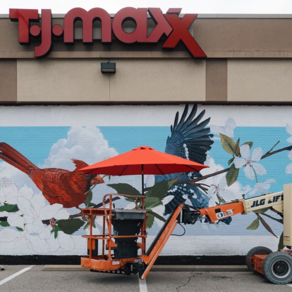 Painting of a cardinal and blue jay on the side of a TJ Maxx