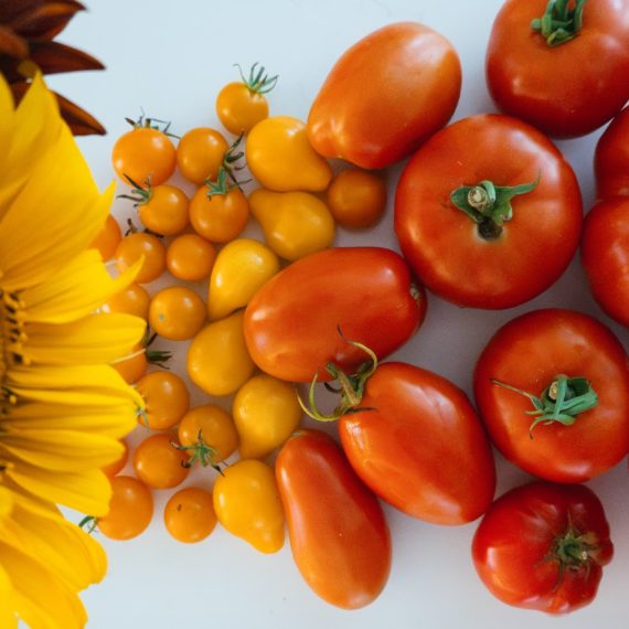 Sunflowers and tomatoes