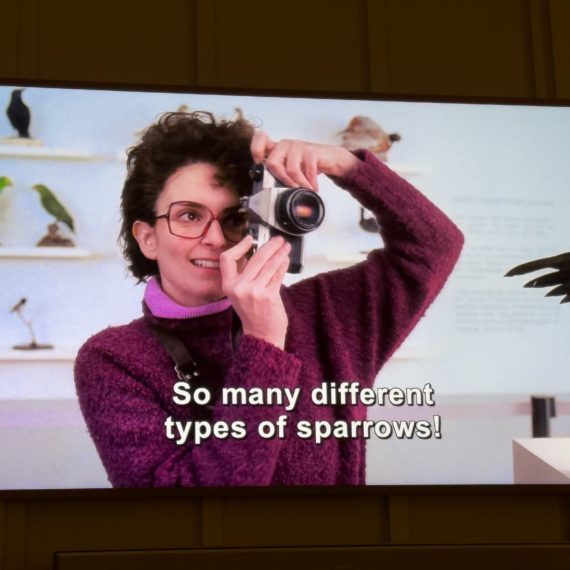 Liz Lemon takes photos of stuffed birds with a film camera in a 30 Rock flashback scene