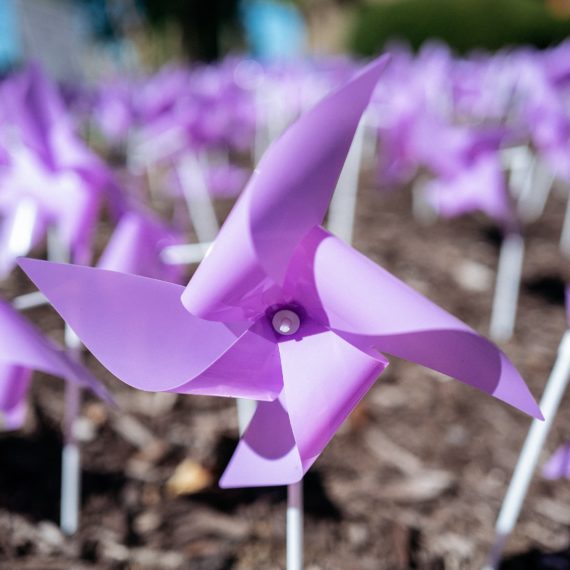 Purple pinwheels representing those that passed from overdose in Cincinnati in 2023