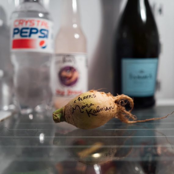 Root vegetable in fridge with handwriting that says Cheers, Maira Kalman